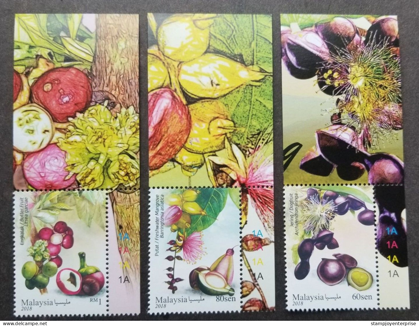 Malaysia Medicinal Plants IV 2018 Fruits Food Fruit Flowers Flower Medicine Stamp Plate MNH - Malaysia (1964-...)