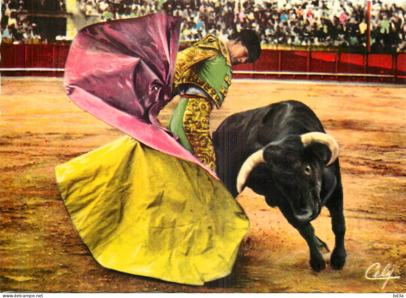 CORRIDA REBOLERA - Corridas