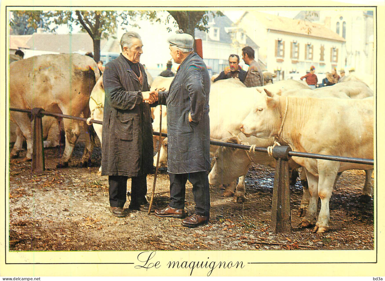 LES METIERS D'ANTAN LE MAQUIGNON - Elevage