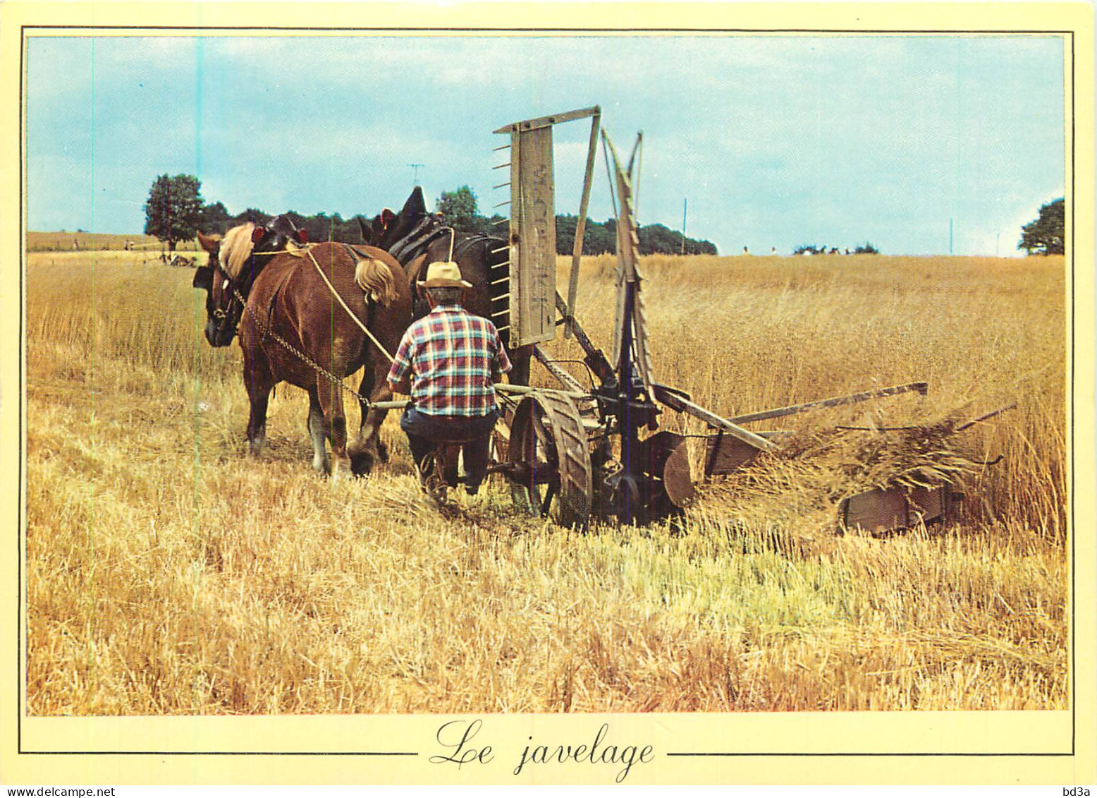 LES METIERS D'ANTAN LE JAVELAGE - Cultures