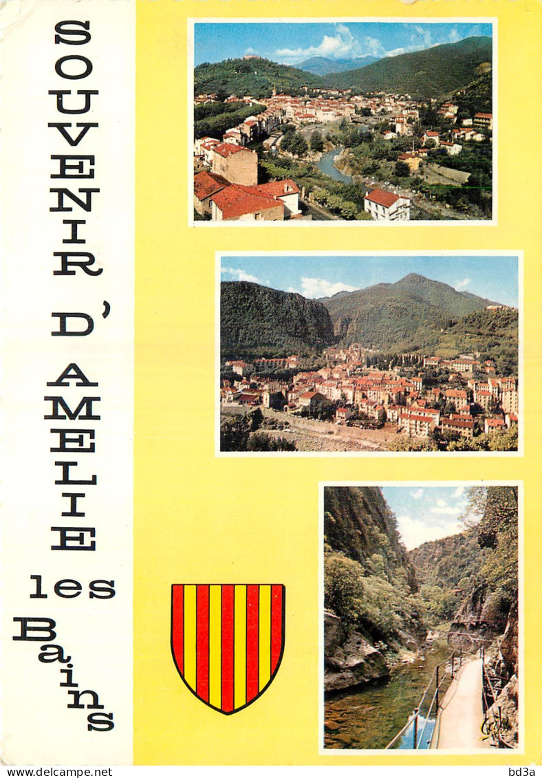 66 AMELIE LES BAINS MULTIVUES  - Amélie-les-Bains-Palalda