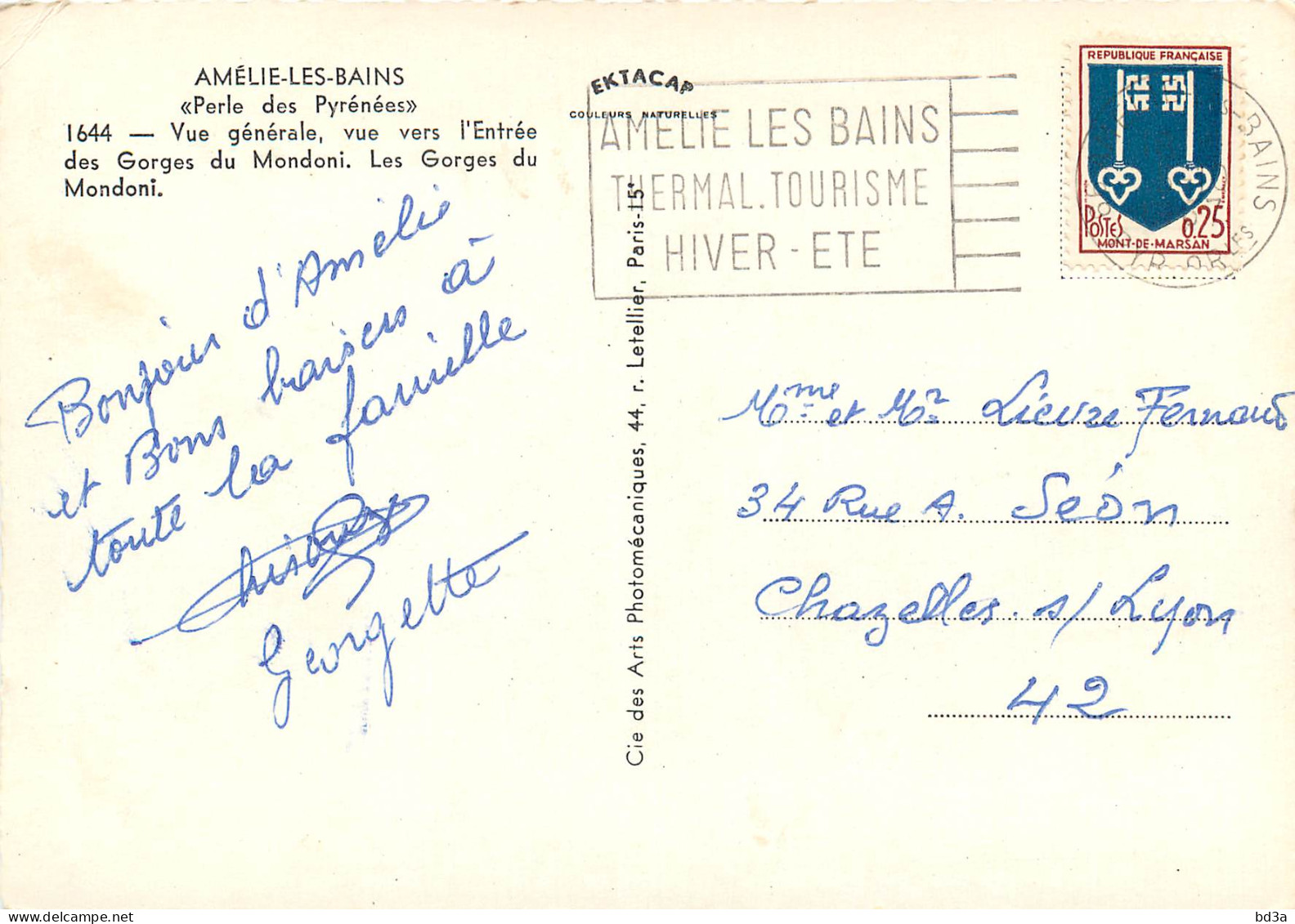 66 AMELIE LES BAINS MULTIVUES  - Amélie-les-Bains-Palalda