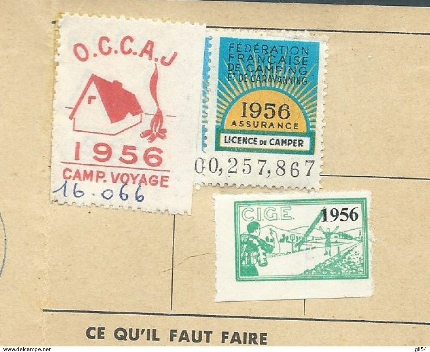 Sur Carte Federation Française Des Auberges De Jeunesse Datée En 1955 , 3 Vignettes Camping Datée En 1956 AM242 01 - Tourism (Labels)