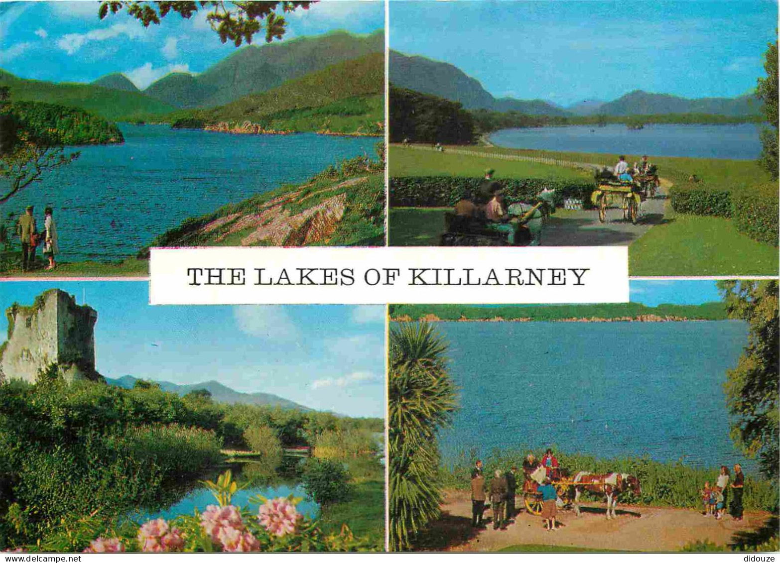Irlande - Kerry - Killarney - Lakes - Multivues - CPM - Voir Scans Recto-Verso - Kerry