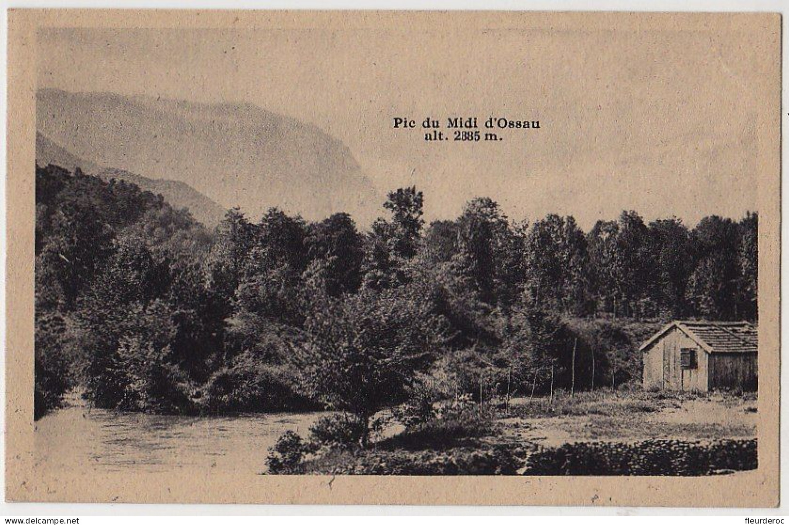 64 - B55863CPA - ARUDY - Le Gave Et Le Pic Du Midi D'ossau - Parfait état - PYRENEES-ATLANTIQUES - Arudy