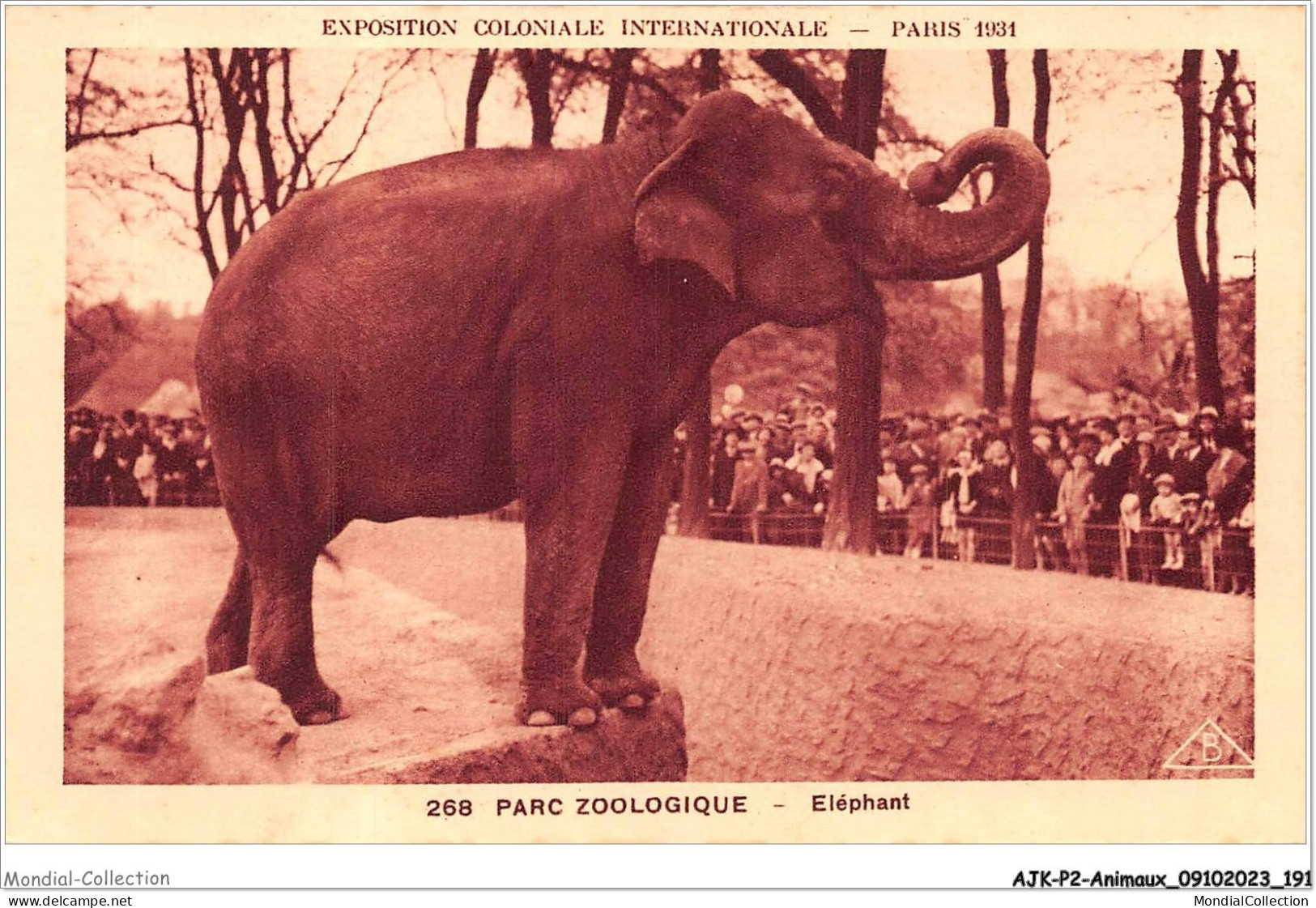 AJKP2-0209 - ANIMAUX - PARC ZOOLOGIQUE - ELEPHANT - Elefantes