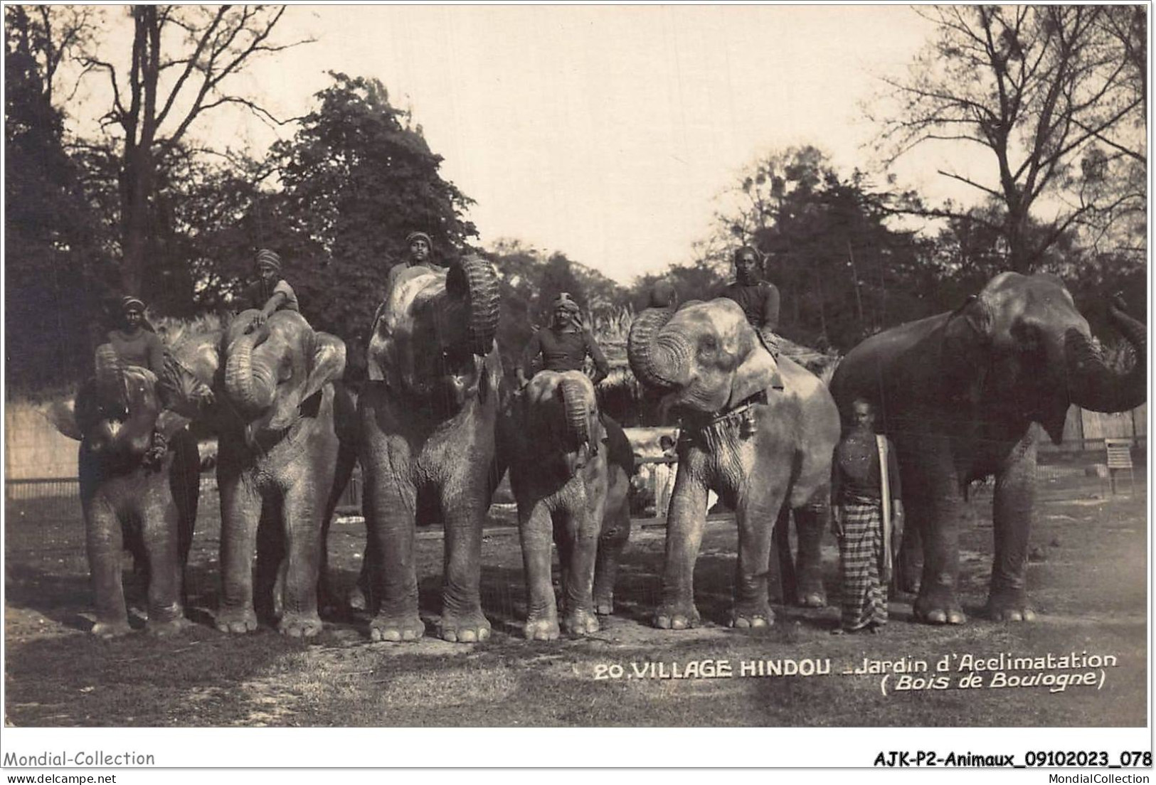 AJKP2-0153 - ANIMAUX - VILLAGE HINDOU - JARDIN D'ACCLIMATATION - BOIS DE BOULOGNE  - Elefantes