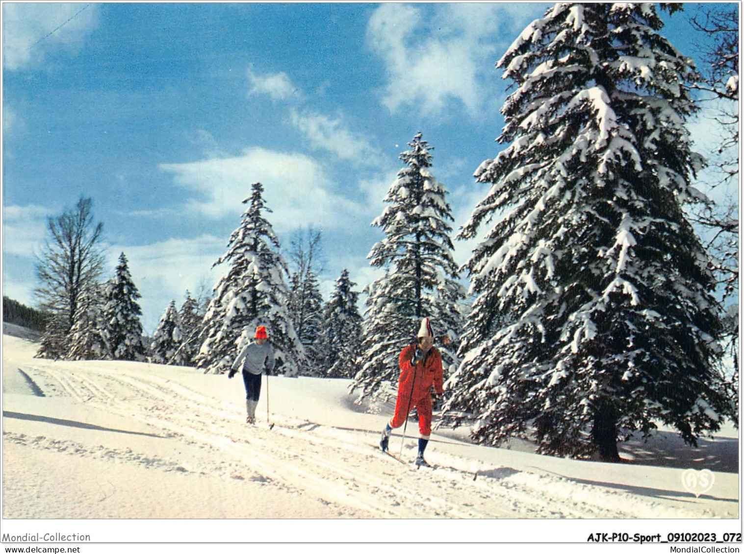 AJKP10-0993 - SPORT - SKI DE FOND DANS LA FORET  - Alpinisme