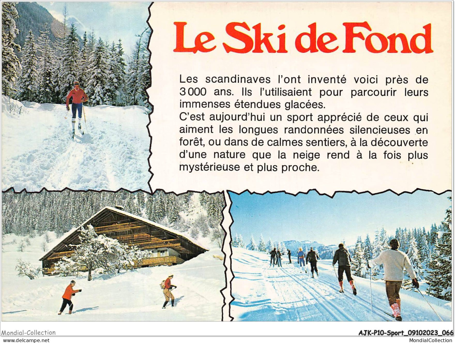 AJKP10-0990 - SPORT - LE SKI DE FOND  - Alpinisme