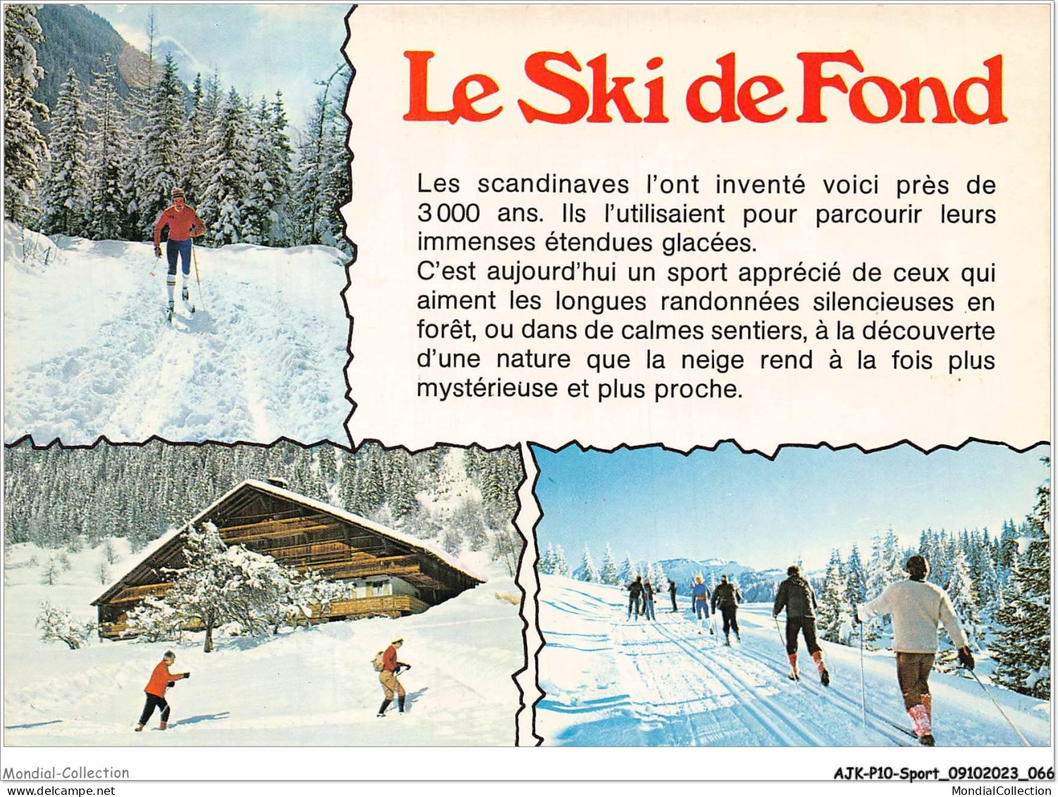 AJKP10-0990 - SPORT - LE SKI DE FOND  - Mountaineering, Alpinism