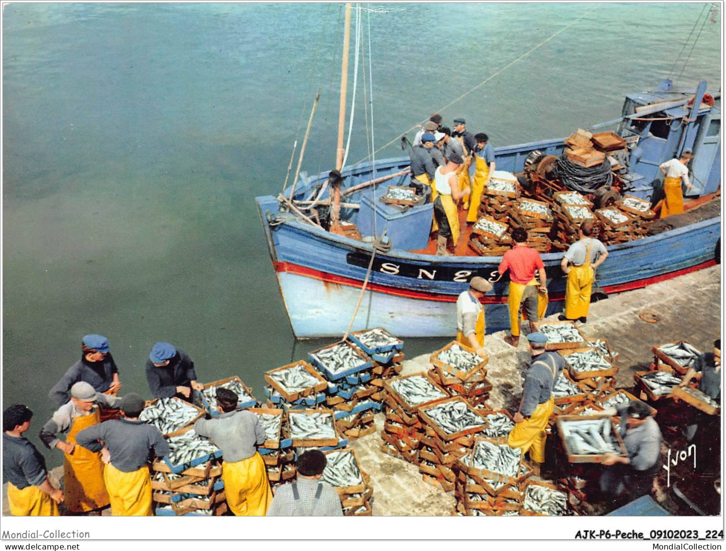 AJKP6-0647 - PECHE - DEBARQUEMENT DU POISSON DANS UN PORT BRETON  - Pesca