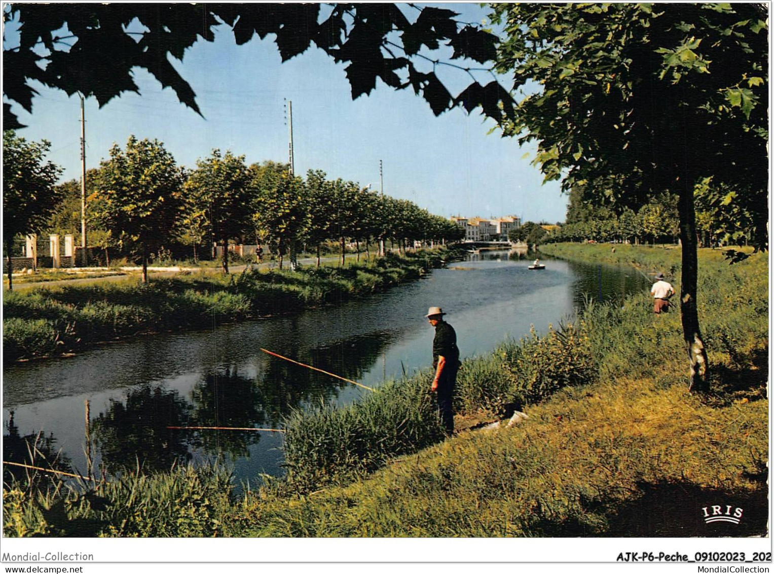 AJKP6-0636 - PECHE - SAUJON - LA SEUDRE - LA TAILLEE VERTE  - Fishing