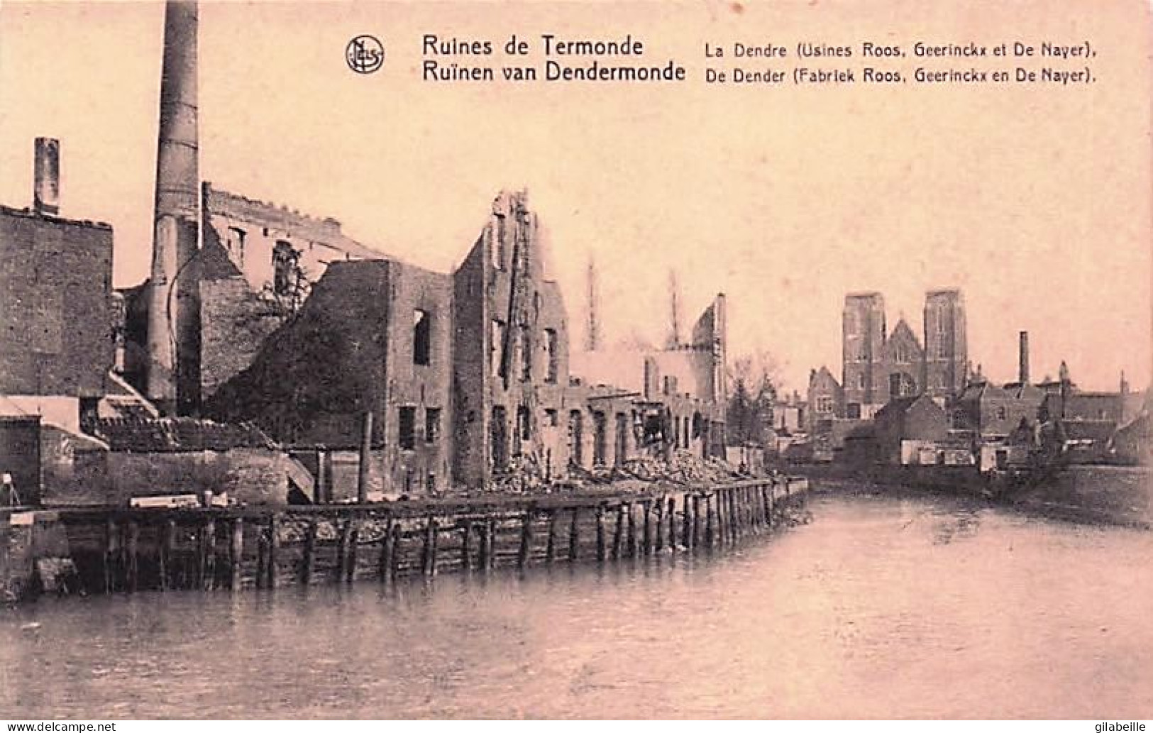 DENDERMONDE - TERMONDE -La Dendre (Usines Roos, Geerinckx Et De Naeyer) - Dendermonde