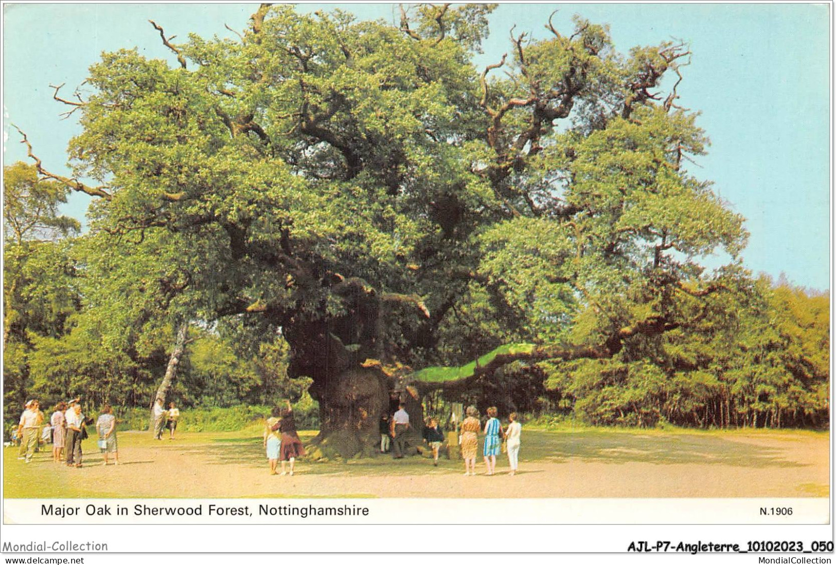 AJLP7-ANGLETERRE-0602 - Major Oak In Sherwood Forest - Nottinghamshire - Nottingham