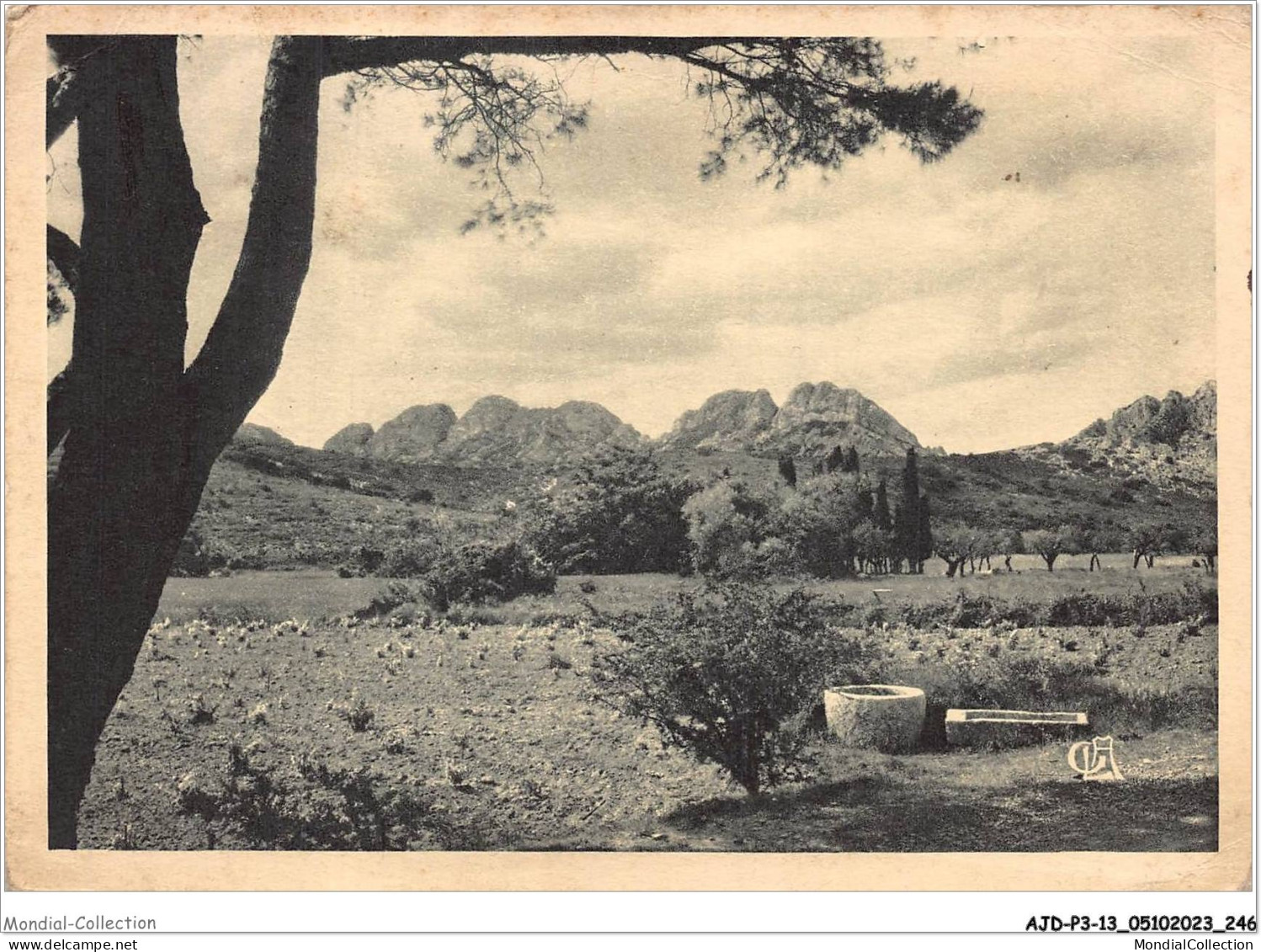 AJDP3-13-0355 - MARSEILLE - Paysage Antique  - Parchi E Giardini