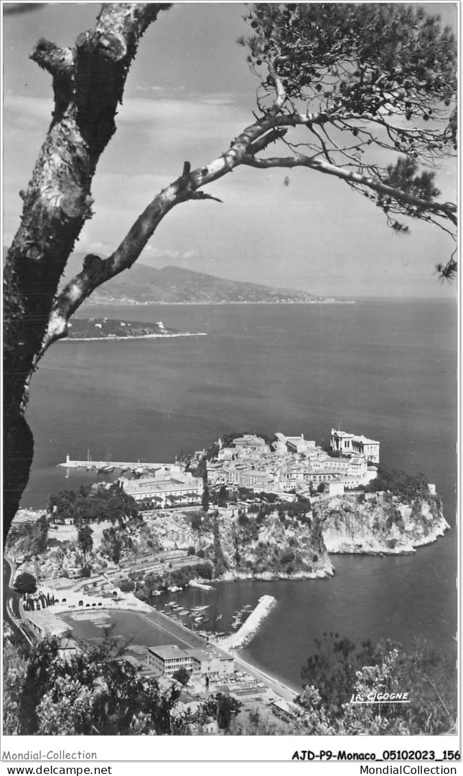 AJDP9-MONACO-0977 - MONACO - Le Rocher Et Vue Sur L'italie  - Multi-vues, Vues Panoramiques