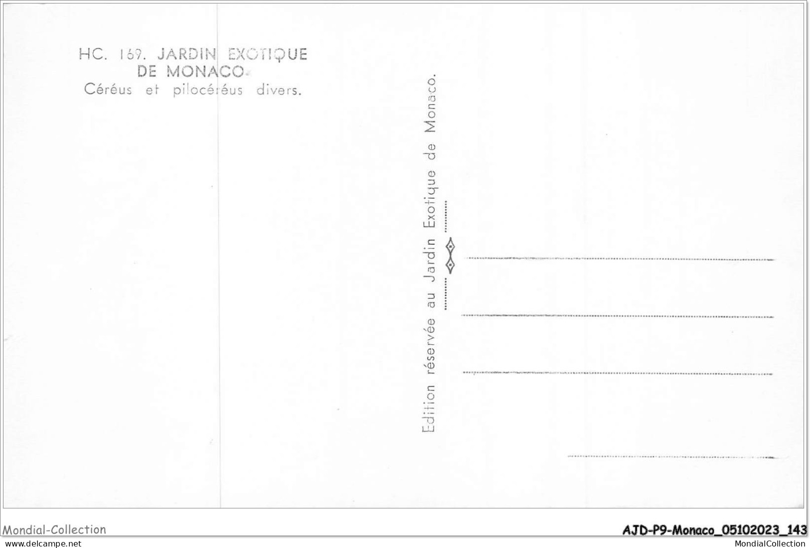 AJDP9-MONACO-0970 - Jardin Exotique De MONACO  - Jardin Exotique