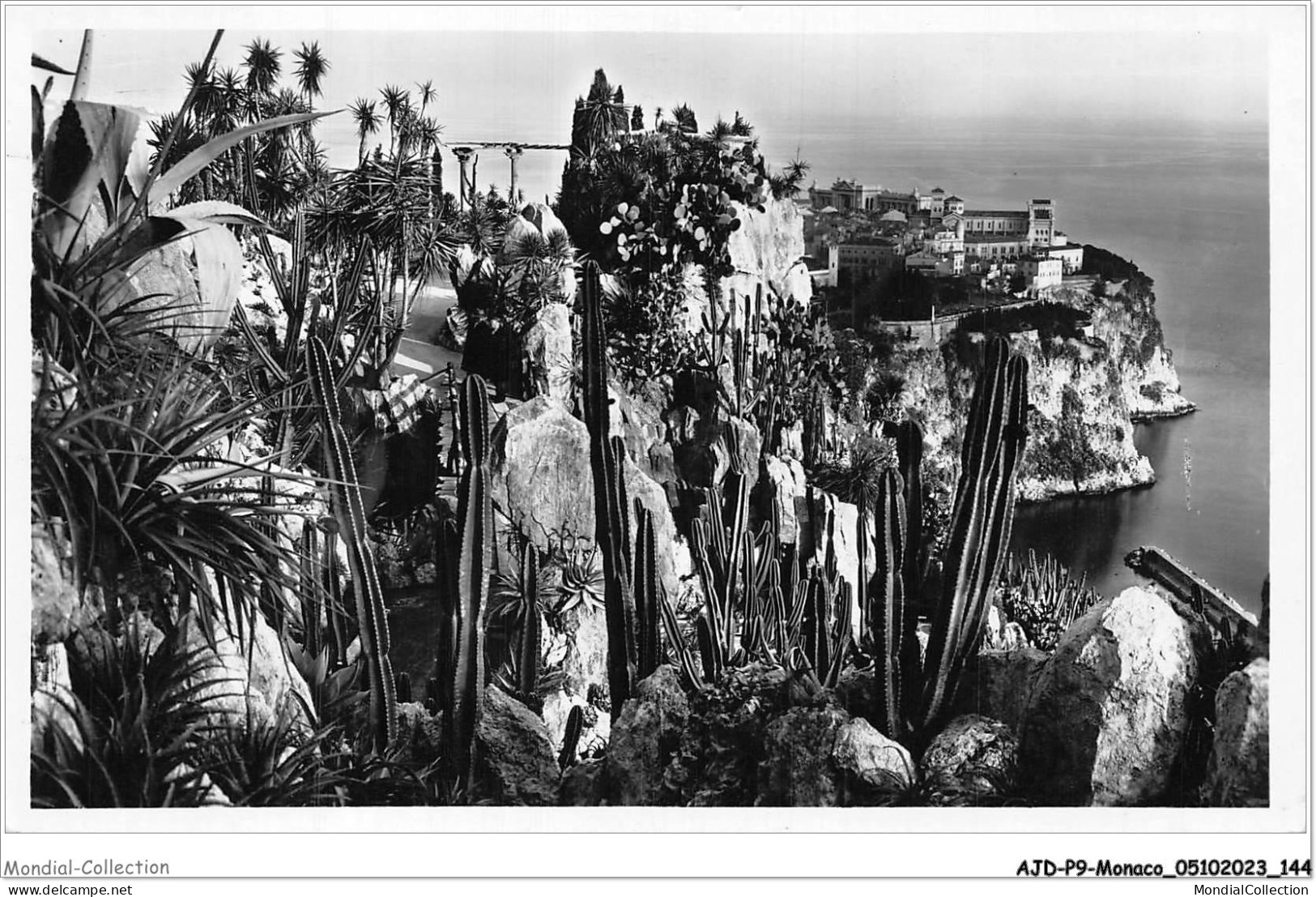 AJDP9-MONACO-0971 - Jardin Exotique De MONACO  - Giardino Esotico