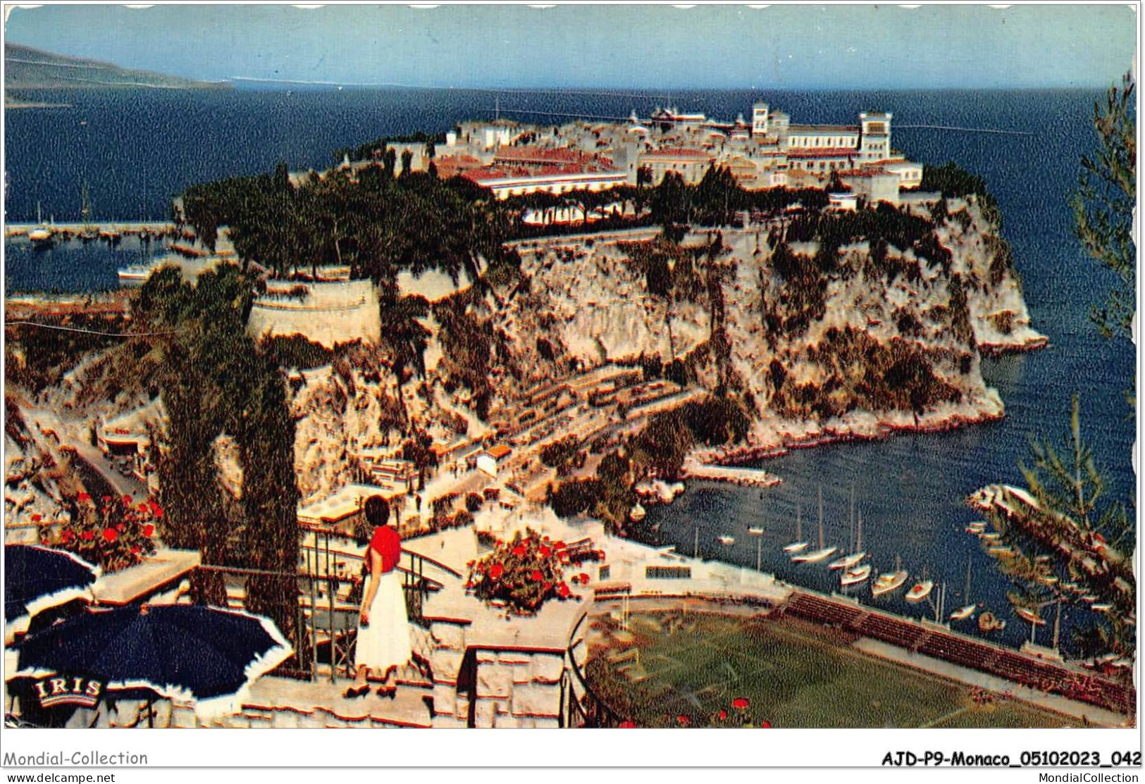 AJDP9-MONACO-0920 - Le Rocher De MONACO - Vu Du Jardin Exotique  - Giardino Esotico