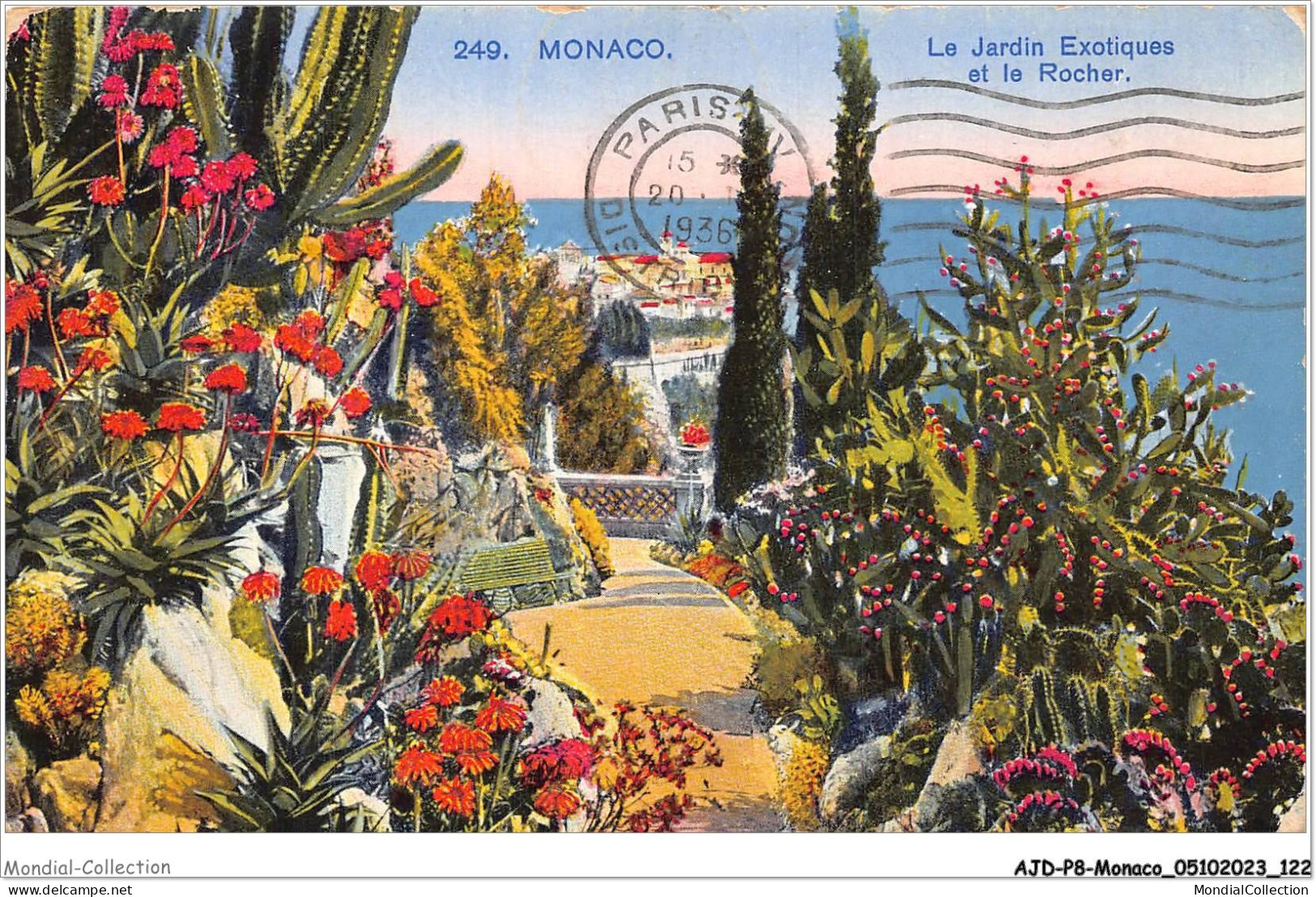 AJDP8-MONACO-0857 - MONACO - Le Jardin Exotiques Et Le Rocher  - Exotische Tuin
