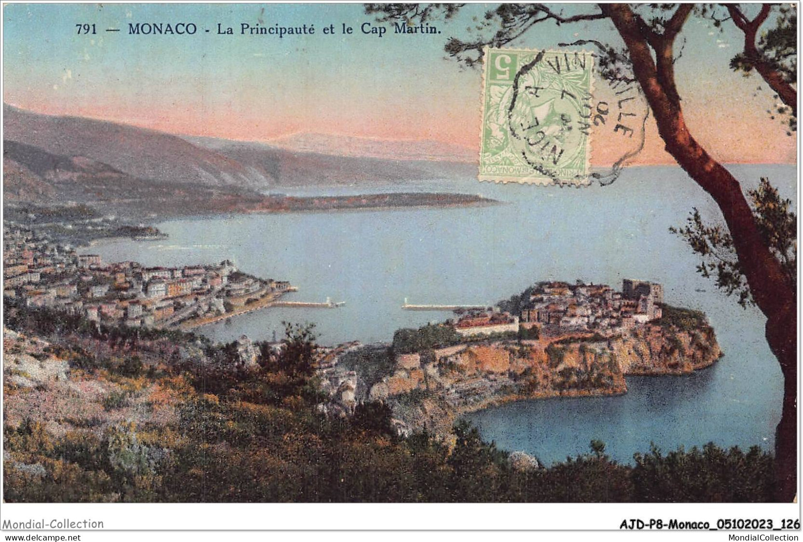 AJDP8-MONACO-0859 - MONACO - La Principauté Et Le Cap Martin  - Panoramic Views
