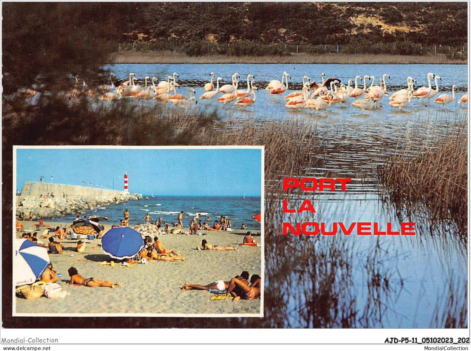 AJDP5-11-0576 - PORT LA NOUVELLE - Ses étangs - Sa Plage  - Port La Nouvelle