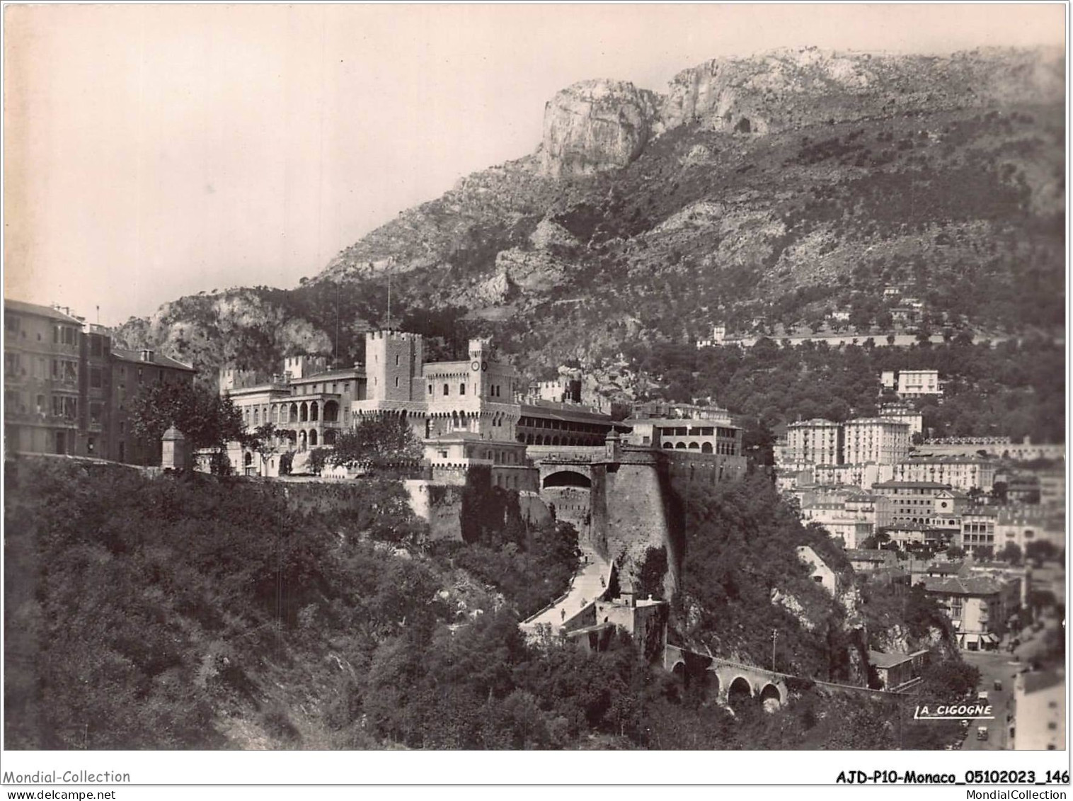 AJDP10-MONACO-1058 - MONACO - Le Palais Du Prince Et La Tête De Chien  - Prince's Palace