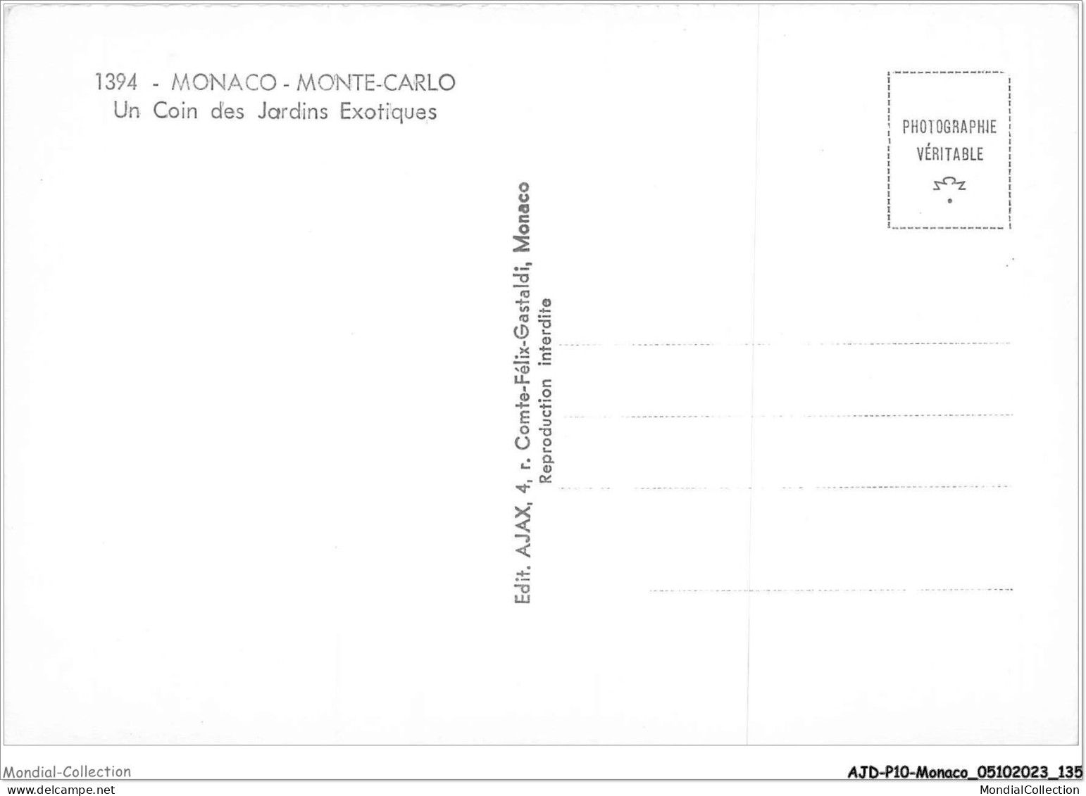 AJDP10-MONACO-1052 - MONTE-CARLO - Un Coin Des Jardins Exotiques  - Jardín Exótico