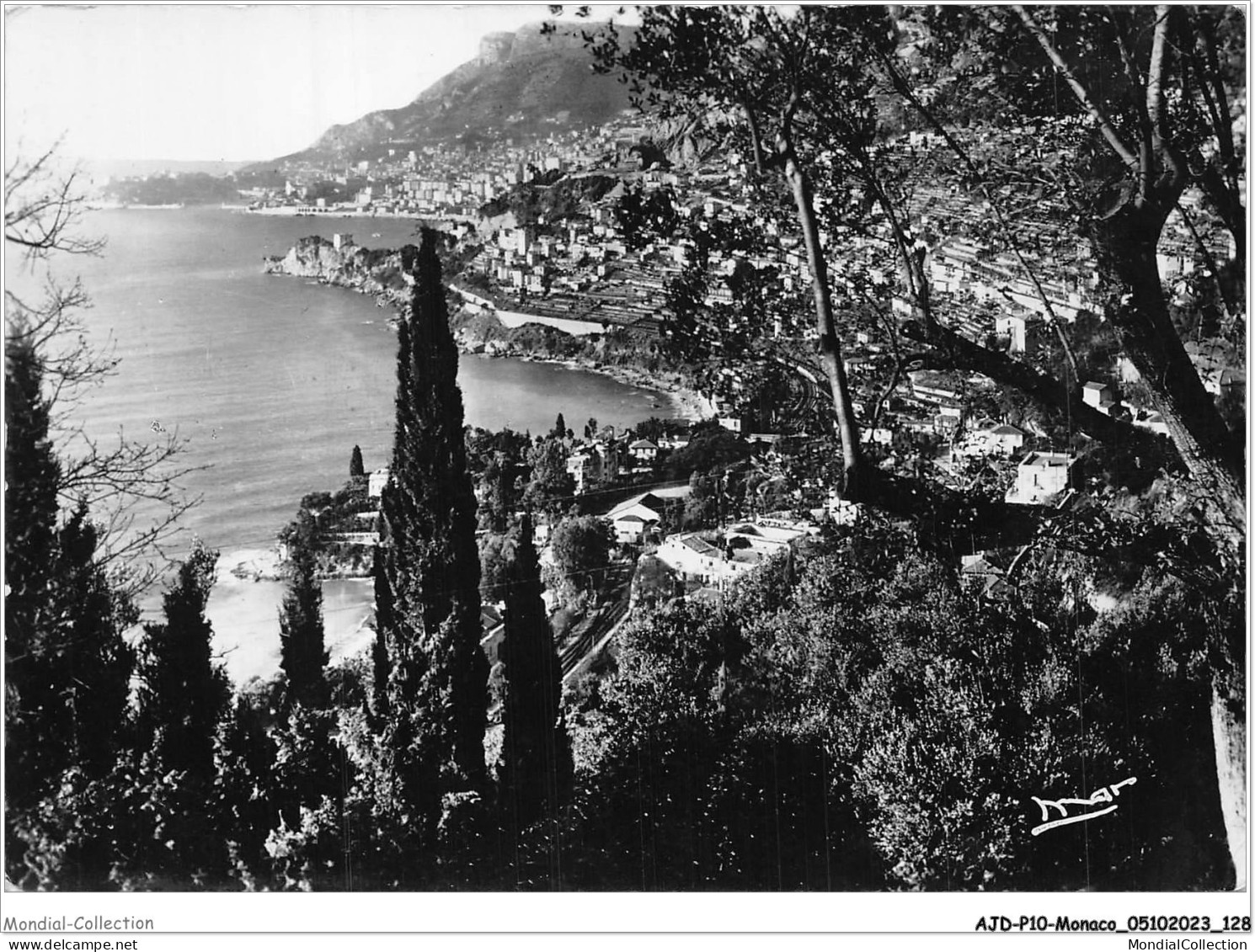 AJDP10-MONACO-1049 - MONACO - La Principauté Vue De Roquebrune  - Panoramic Views