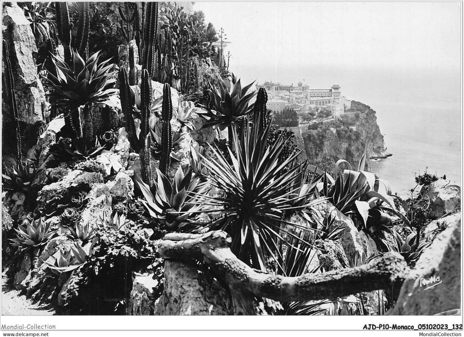 AJDP10-MONACO-1051 - MONTE-CARLO - Les Jardins Exotiques Et Le Rocher De MONACO  - Jardin Exotique