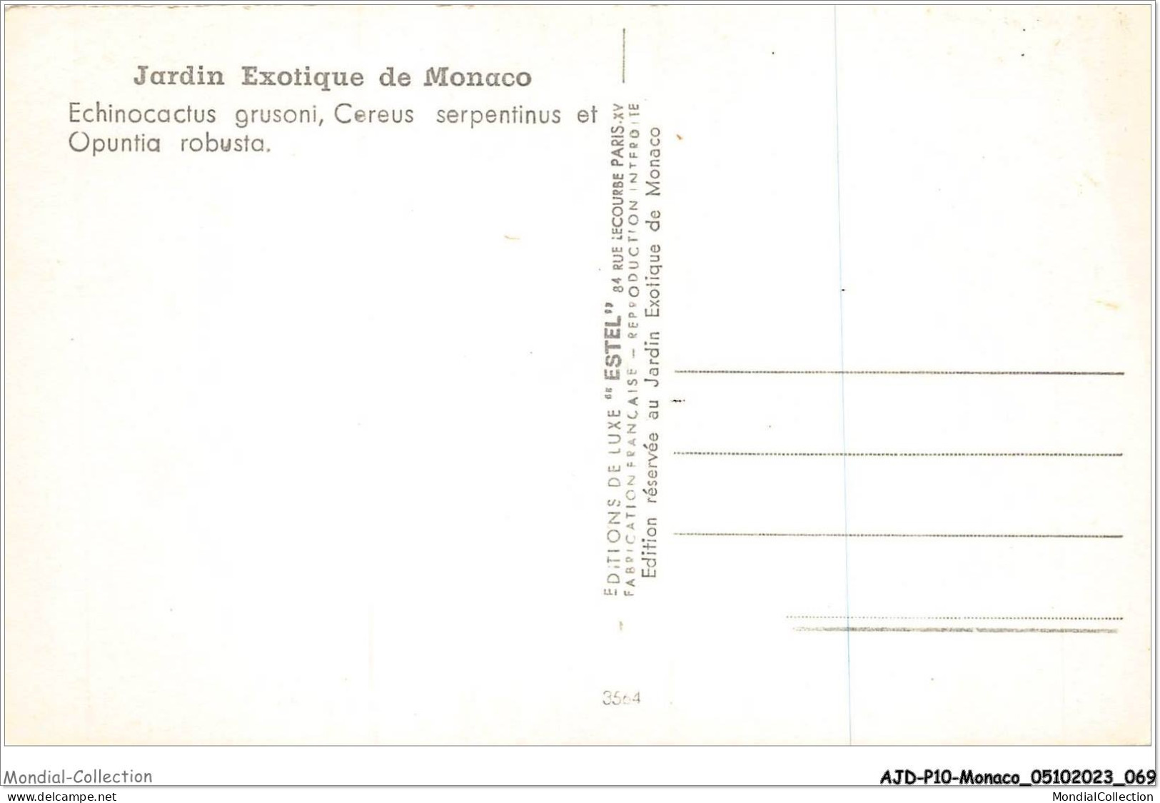 AJDP10-MONACO-1019 - Jardin Exotique De MONACO  - Jardin Exotique