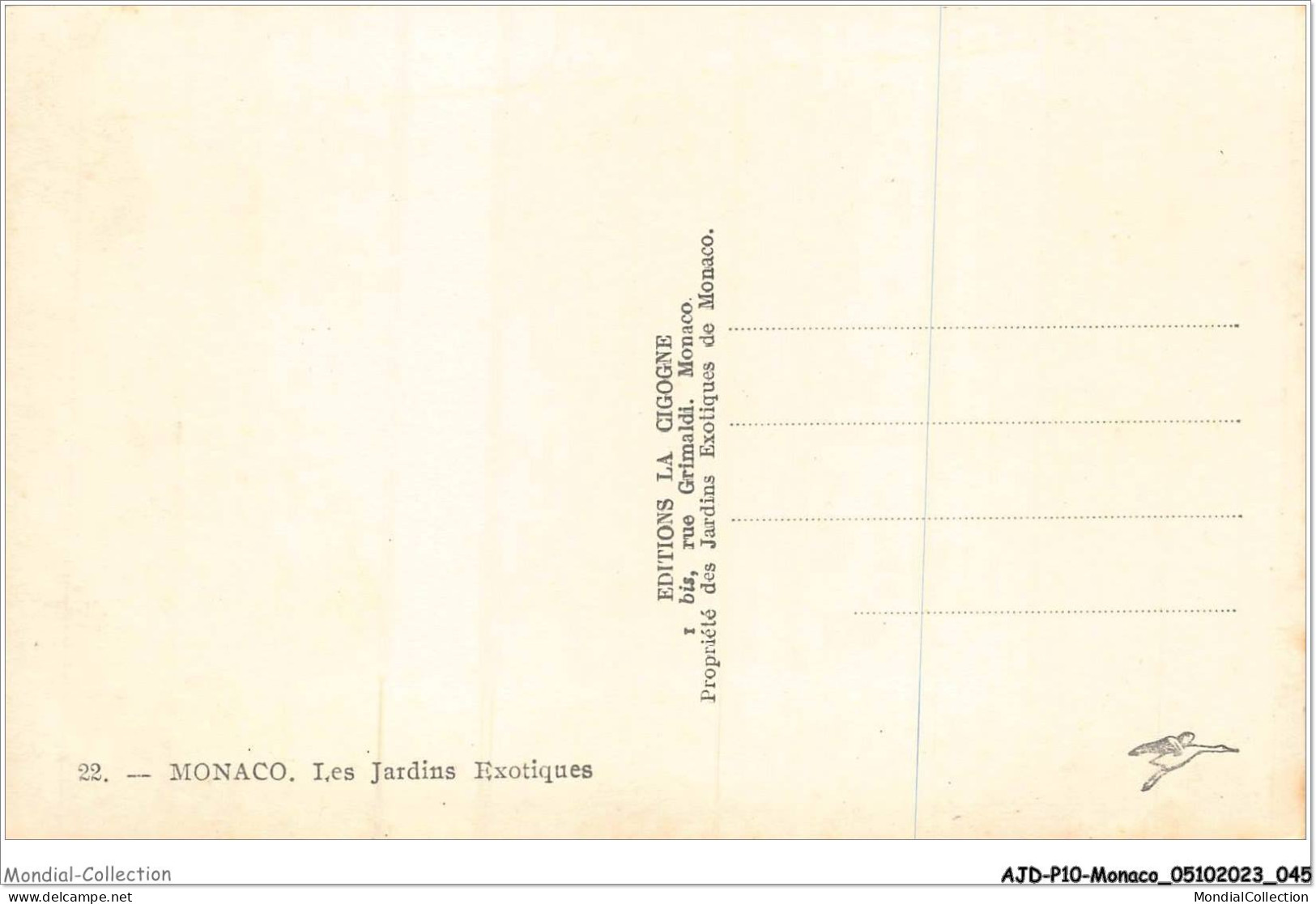 AJDP10-MONACO-1007 - MONACO - Les Jardins Exotiques  - Exotischer Garten