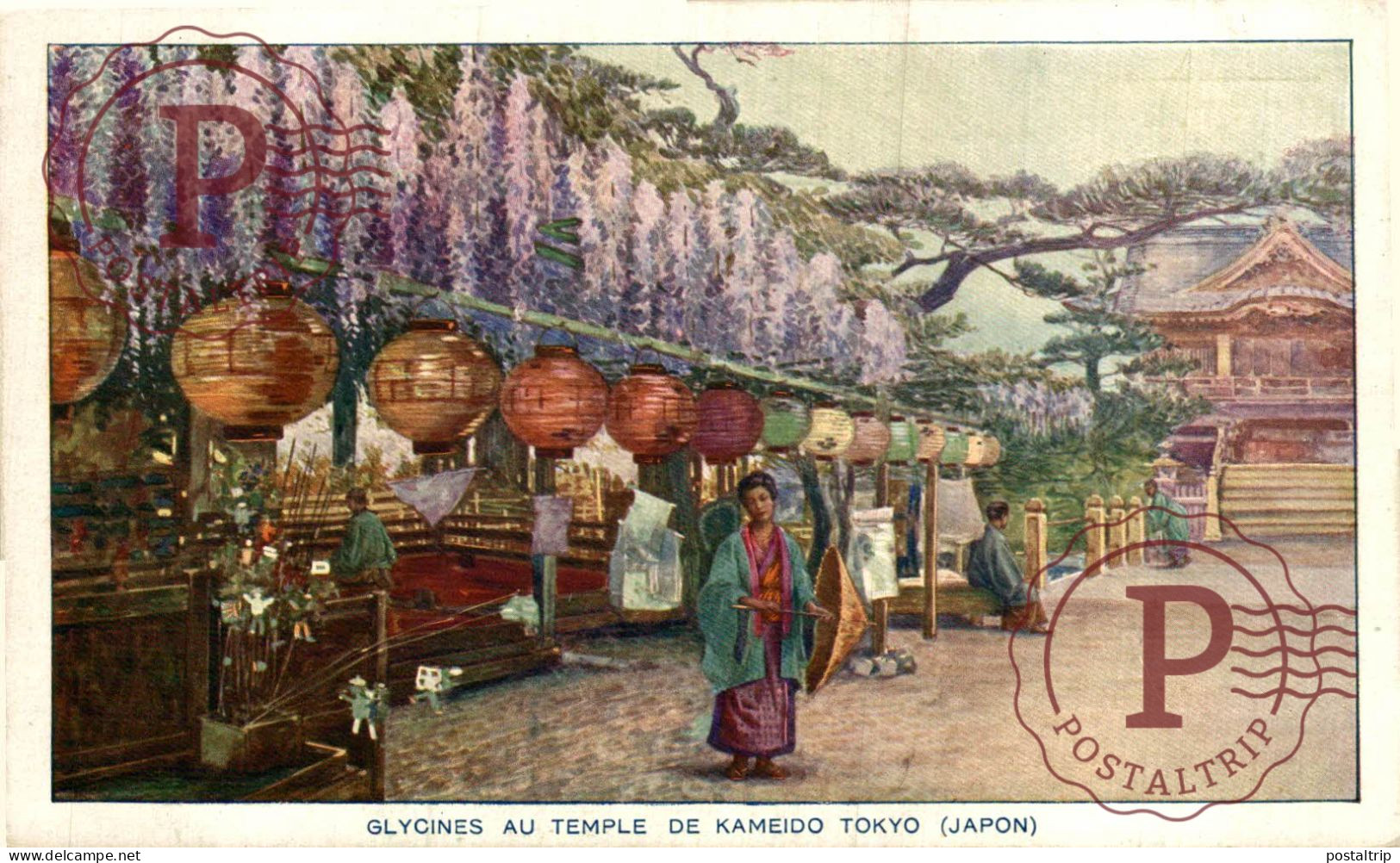 JAPON. JAPAN. Glycines Au Temple De Kameido Tokyo - Tokio