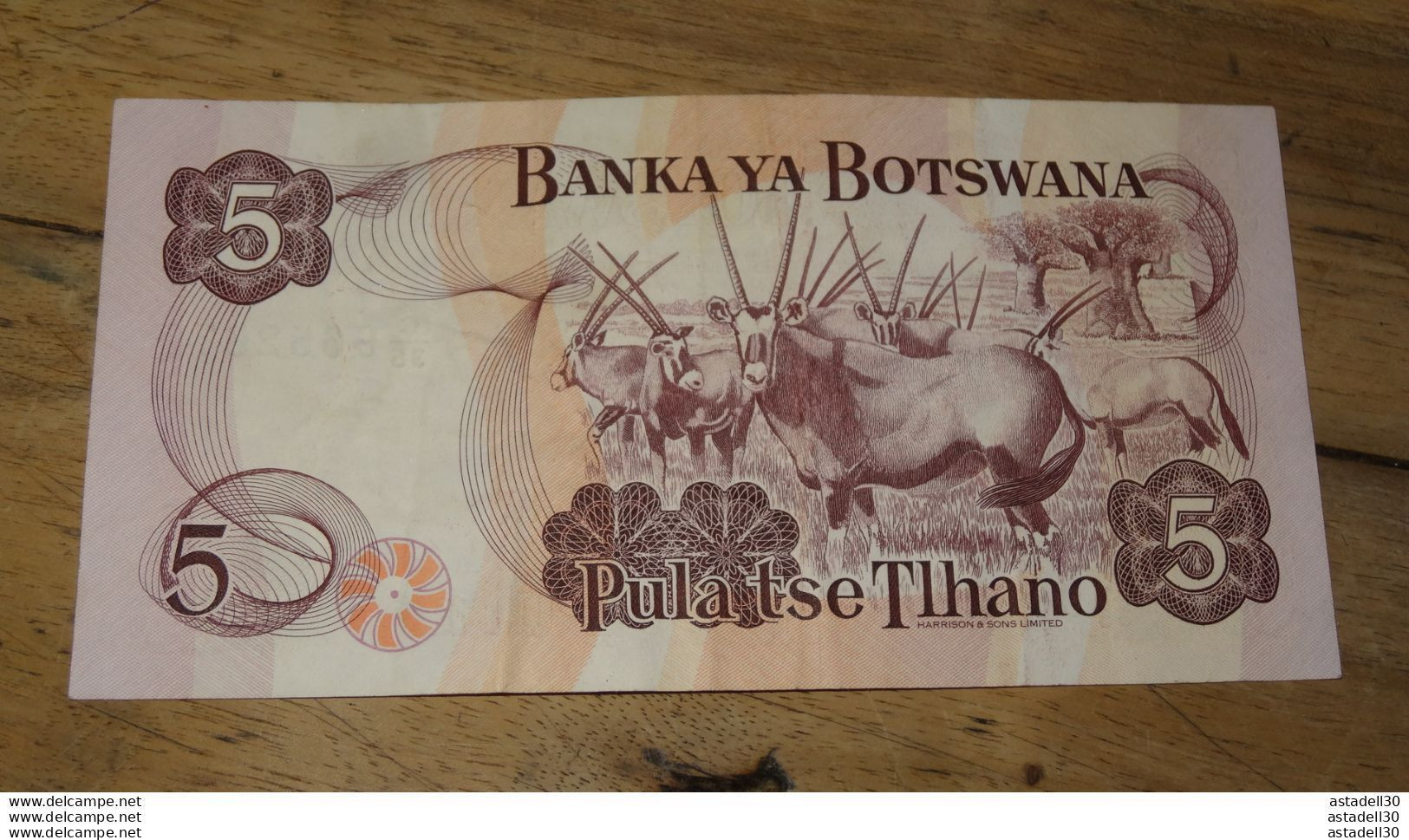 BOTSWANA : 5 Pula - 1982  ......... PHI ...... E2-66 - Botswana