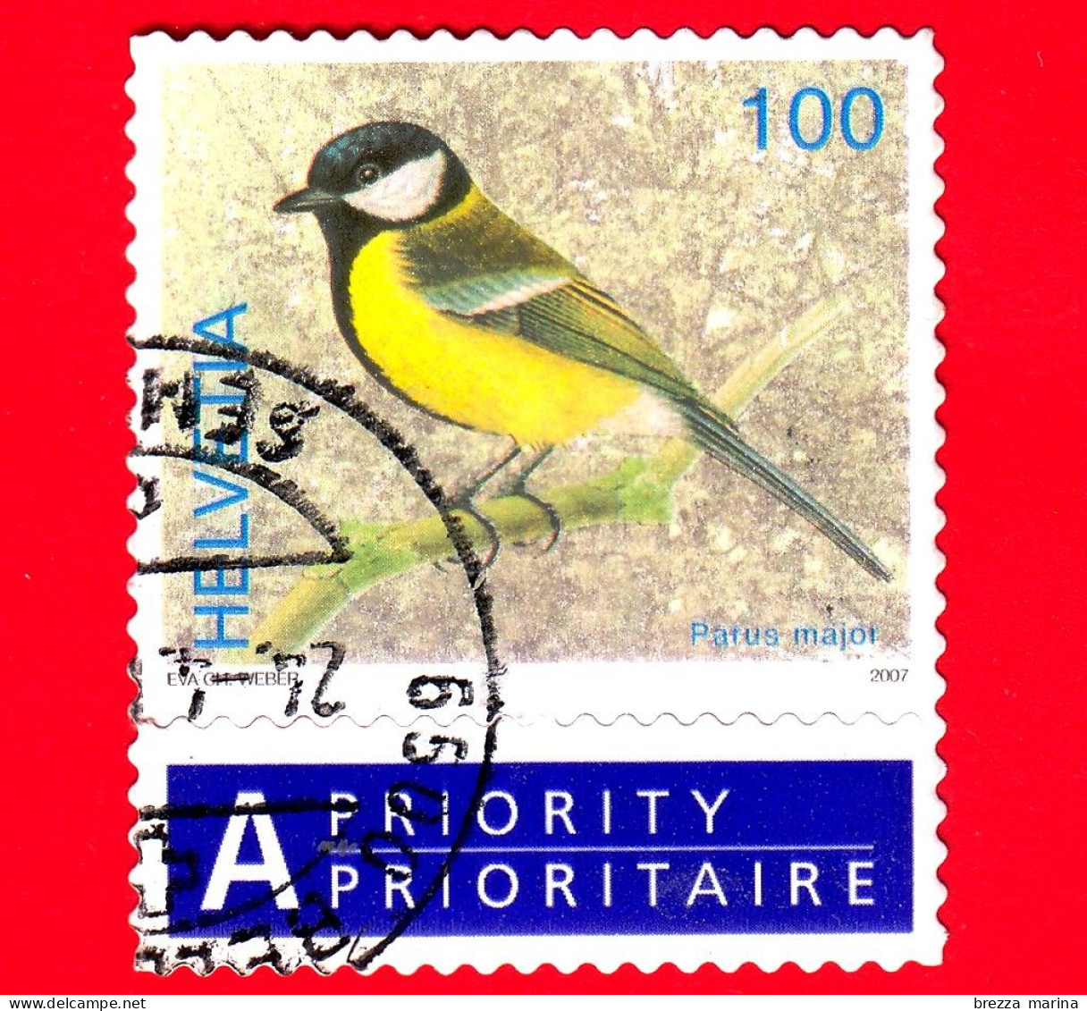 SVIZZERA - Usato - 2007 - Fauna -  Uccelli - Cinciallegra (Parus Major) - 100 - Used Stamps