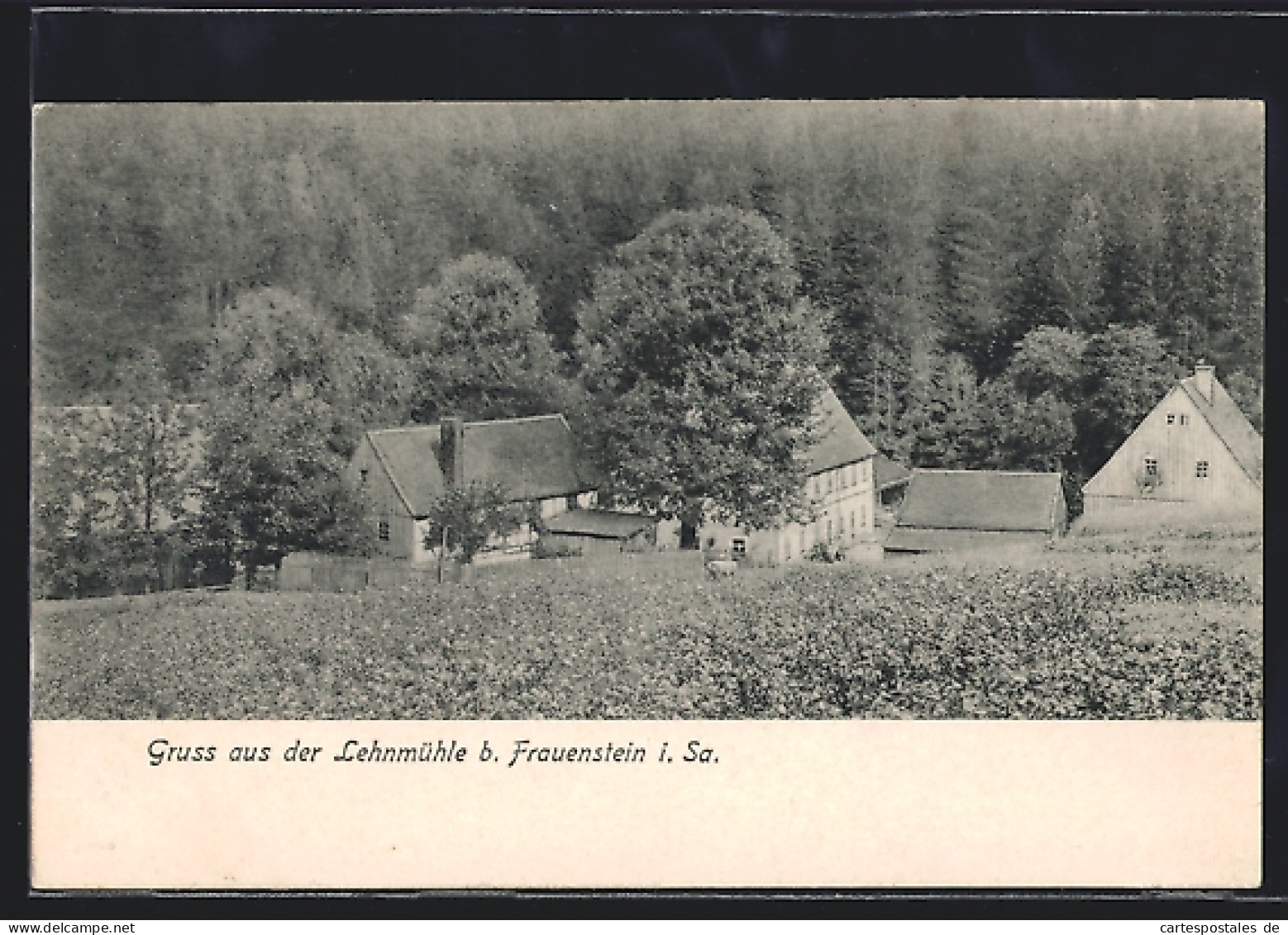 AK Frauenstein I. Sa., Blick Auf Die Lehnmühle  - Frauenstein (Erzgeb.)