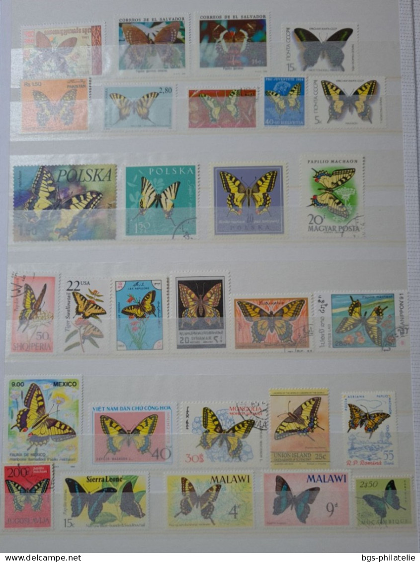 Collection De Timbres Sur Le Thème Des Papillons. - Collections (without Album)