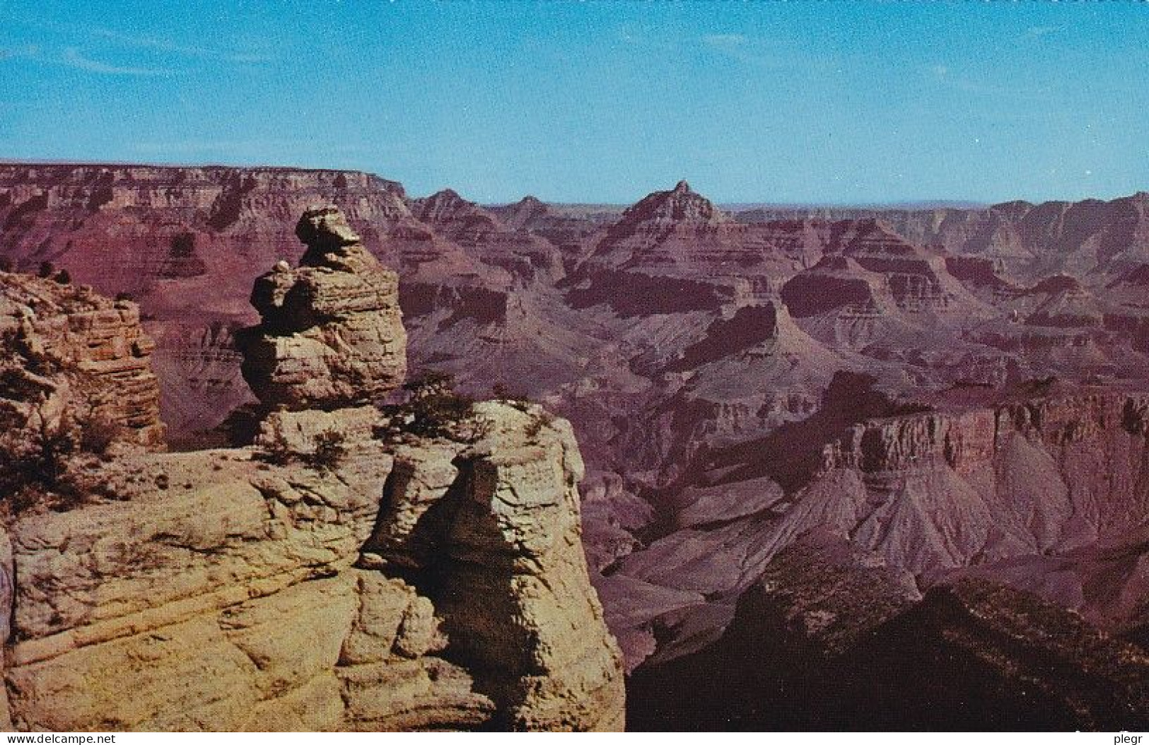 0-USAAZ 01 01 - GRAND CANYON NATIONAL PARK - DUCK ON THE ROCK - Gran Cañon