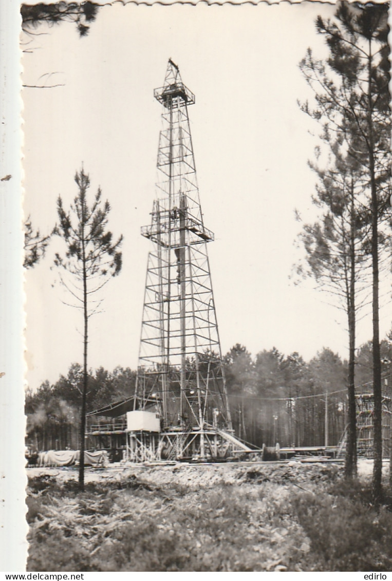 ****40  ***   BISCARROSSE Derrick Dans La Forêt Neuve Excellent état  - Biscarrosse