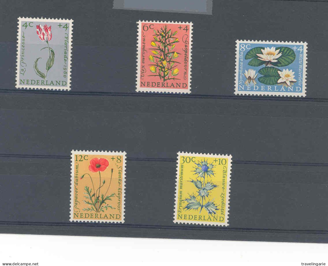 Netherlands  1960 Fleurs Bloemen NVPH 738/42 Yvert 719/23 MNH ** - Ungebraucht