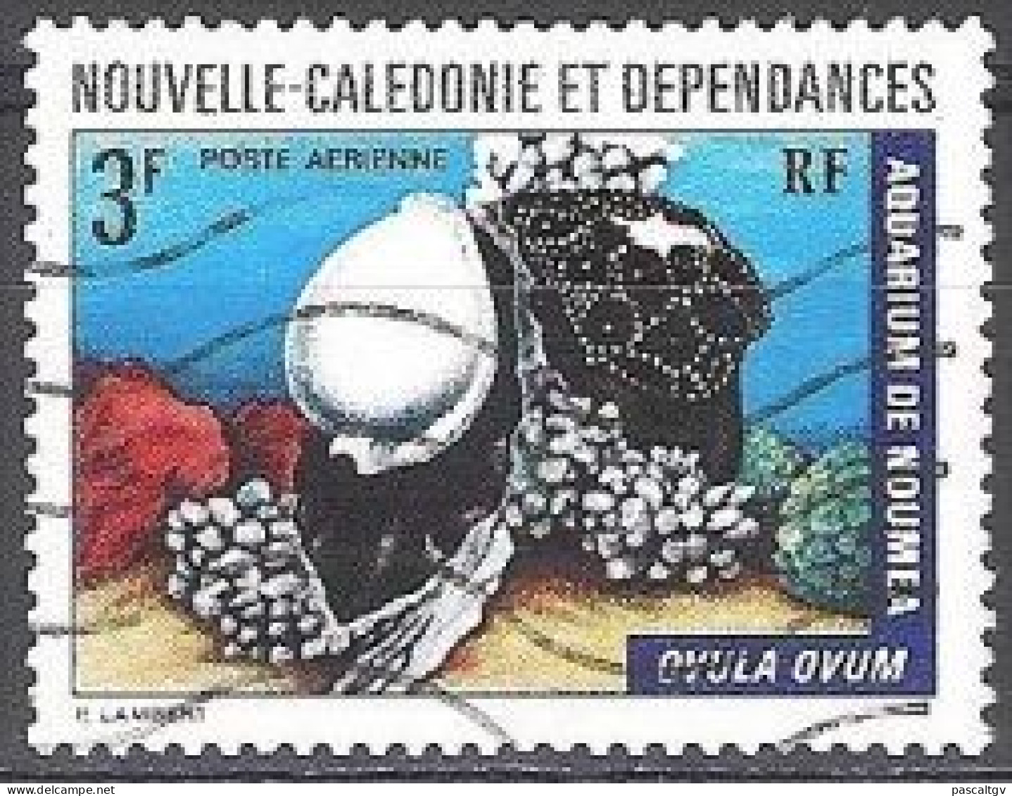 Nouvelle Calédonie - 1974 - PA N° 150 Oblitéré - Used Stamps