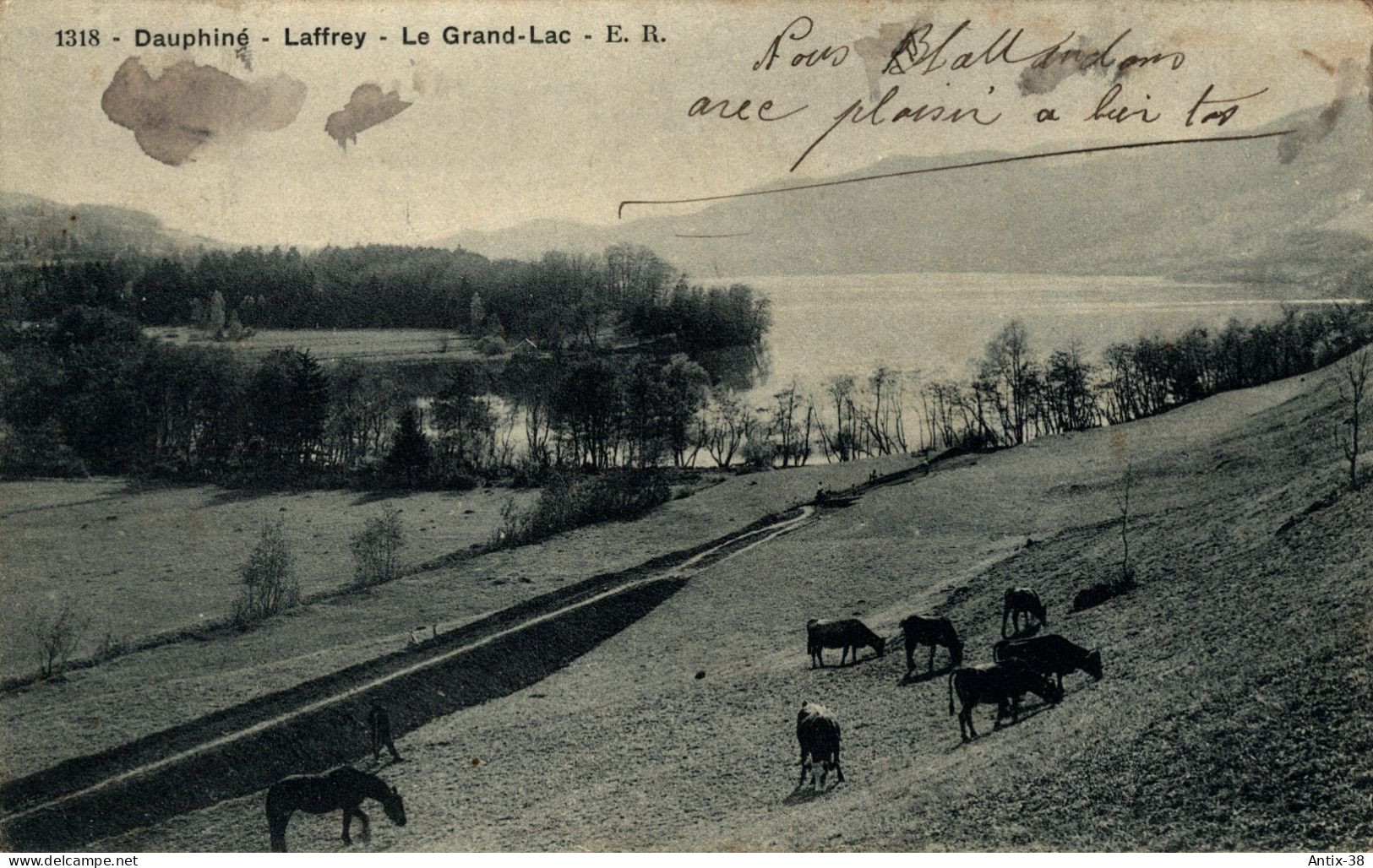 N63 - 38 - LAFFREY - Isère - Le Grand Lac - Laffrey