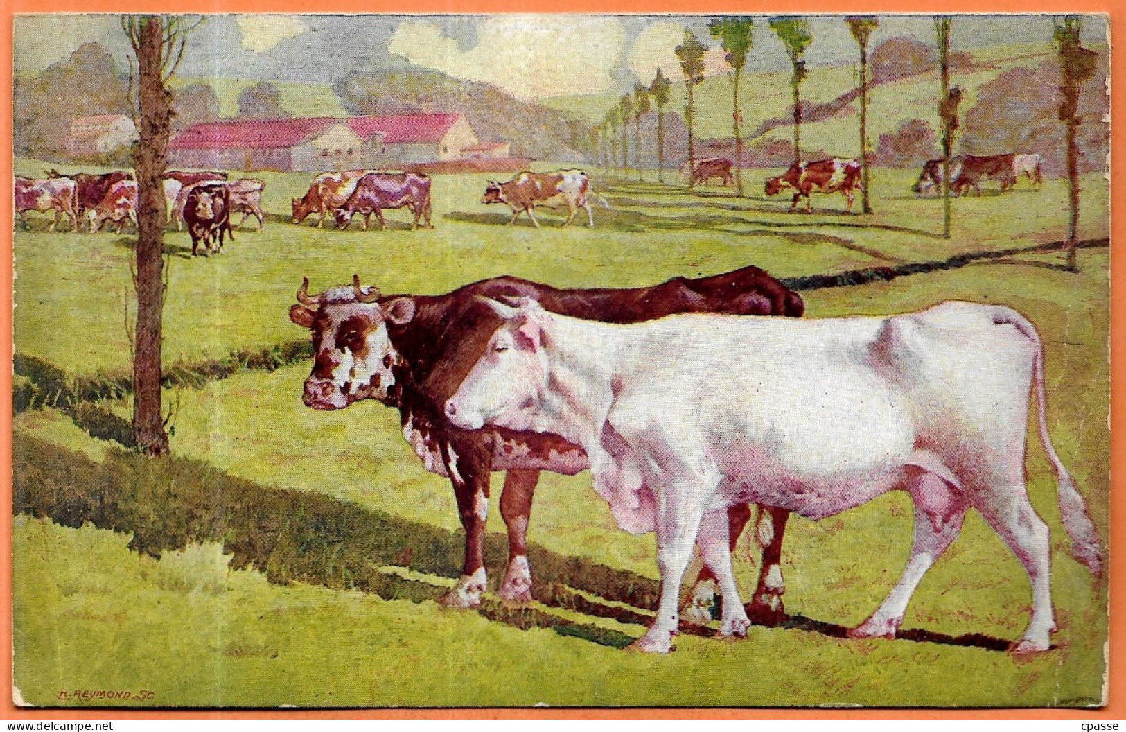 CALENDRIER Ouvrant Pour L'Année 1902 (format Intermédiaire) - 94 L'HAY Ferme Des Prés  - Vaches - Illustrateur REYMOND - Autres & Non Classés
