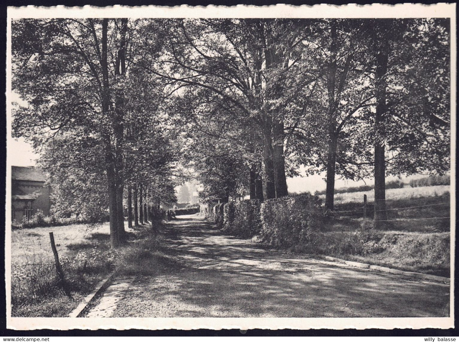 +++ CPSM - LAVACHERIE Sur OURTHE - Allée Des Ecoles // - Sainte-Ode