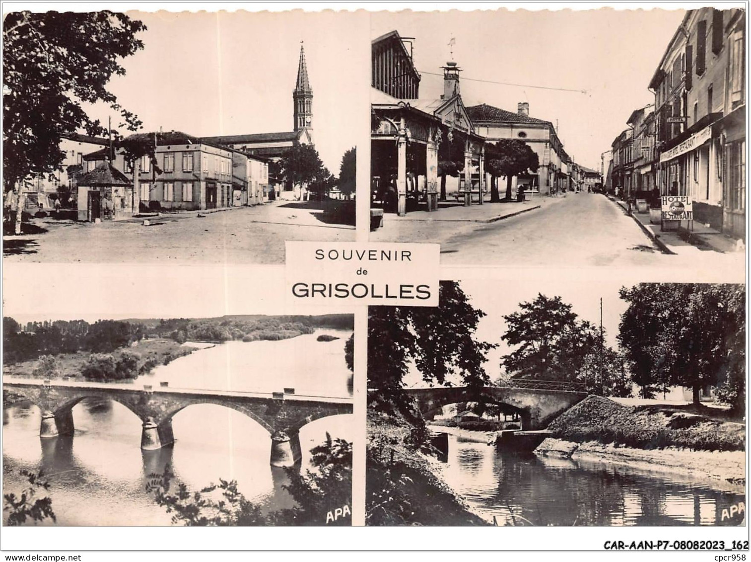 CAR-AANP7-82 CPSM-0634 - SOUVENIR DE GRISOLLES - 15x10cm - Grisolles