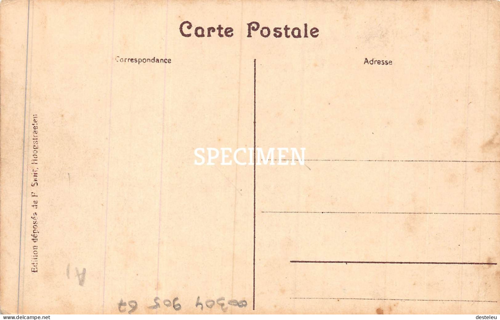 Sinte-Catharina Kerk - Hoogstraten - Hoogstraten