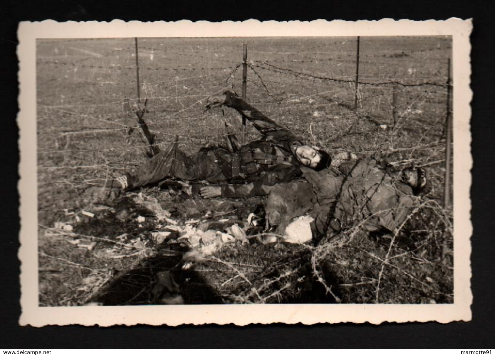 GUERRE ALGERIE PHOTO SOLDAT FLN FRONTIERE BARBELES FELLAGHAS ARMEE FRANCAISE - Documents