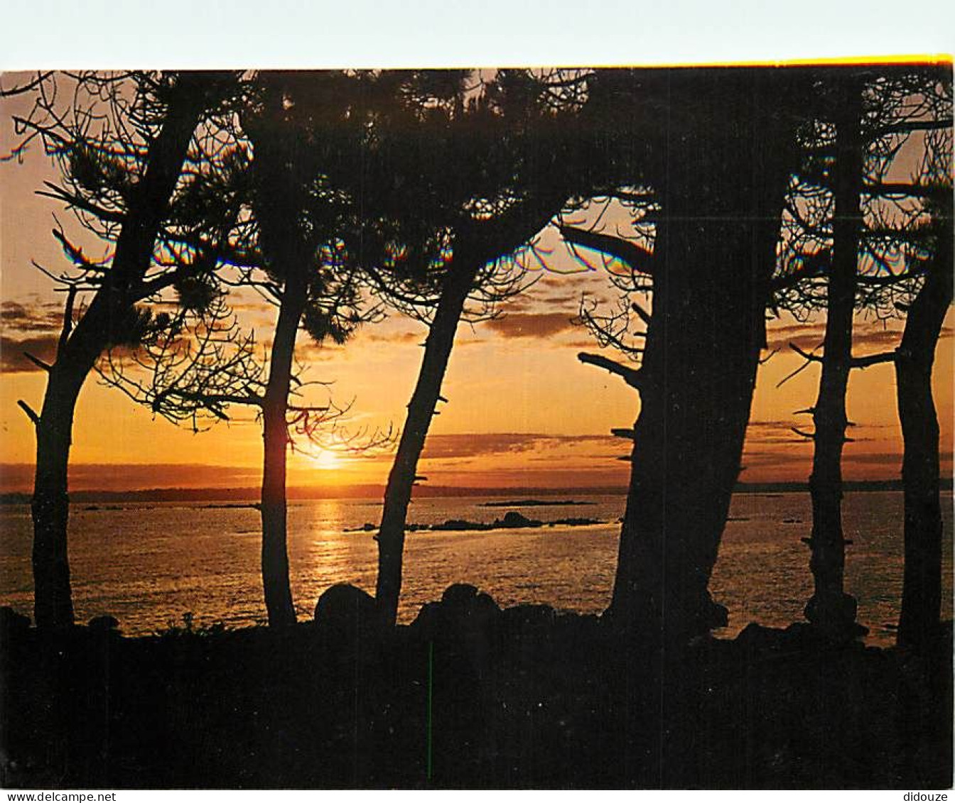 Coucher De Soleil - CPM - Voir Scans Recto-Verso - Tegenlichtkaarten, Hold To Light