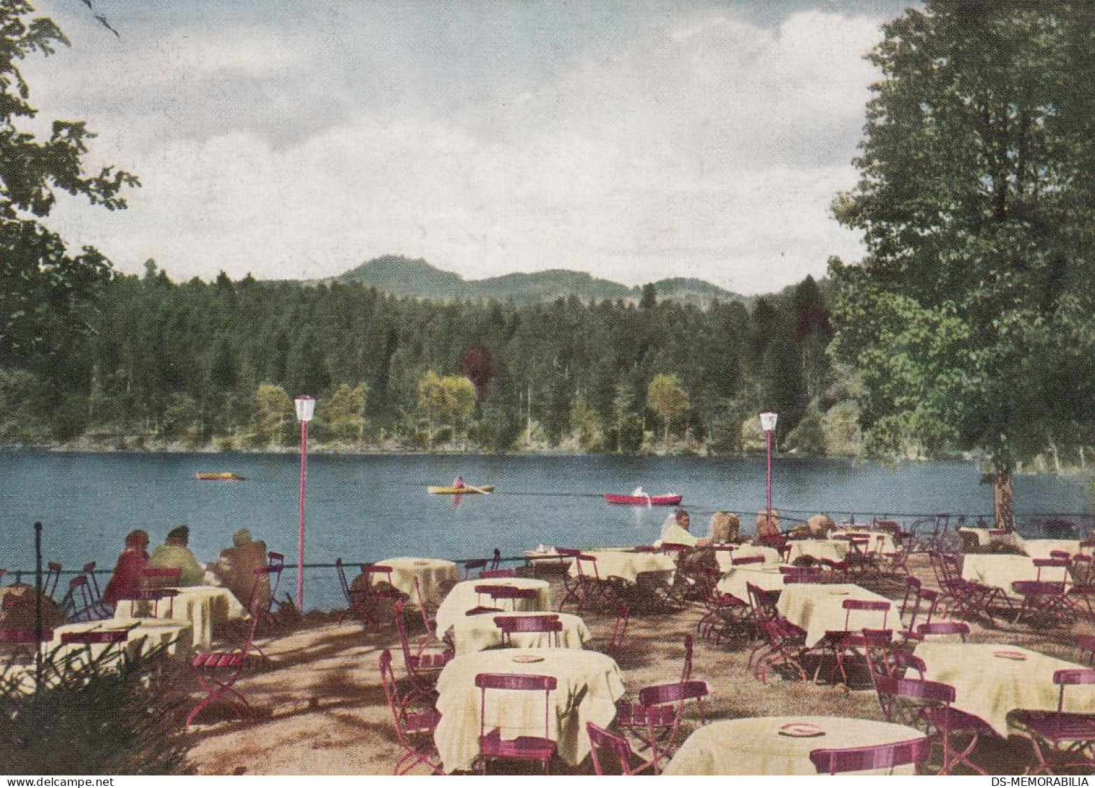 Sackingen - Bergsee Restaurant Und Waldcafe Inh Eugen Dietsche - Bad Saeckingen