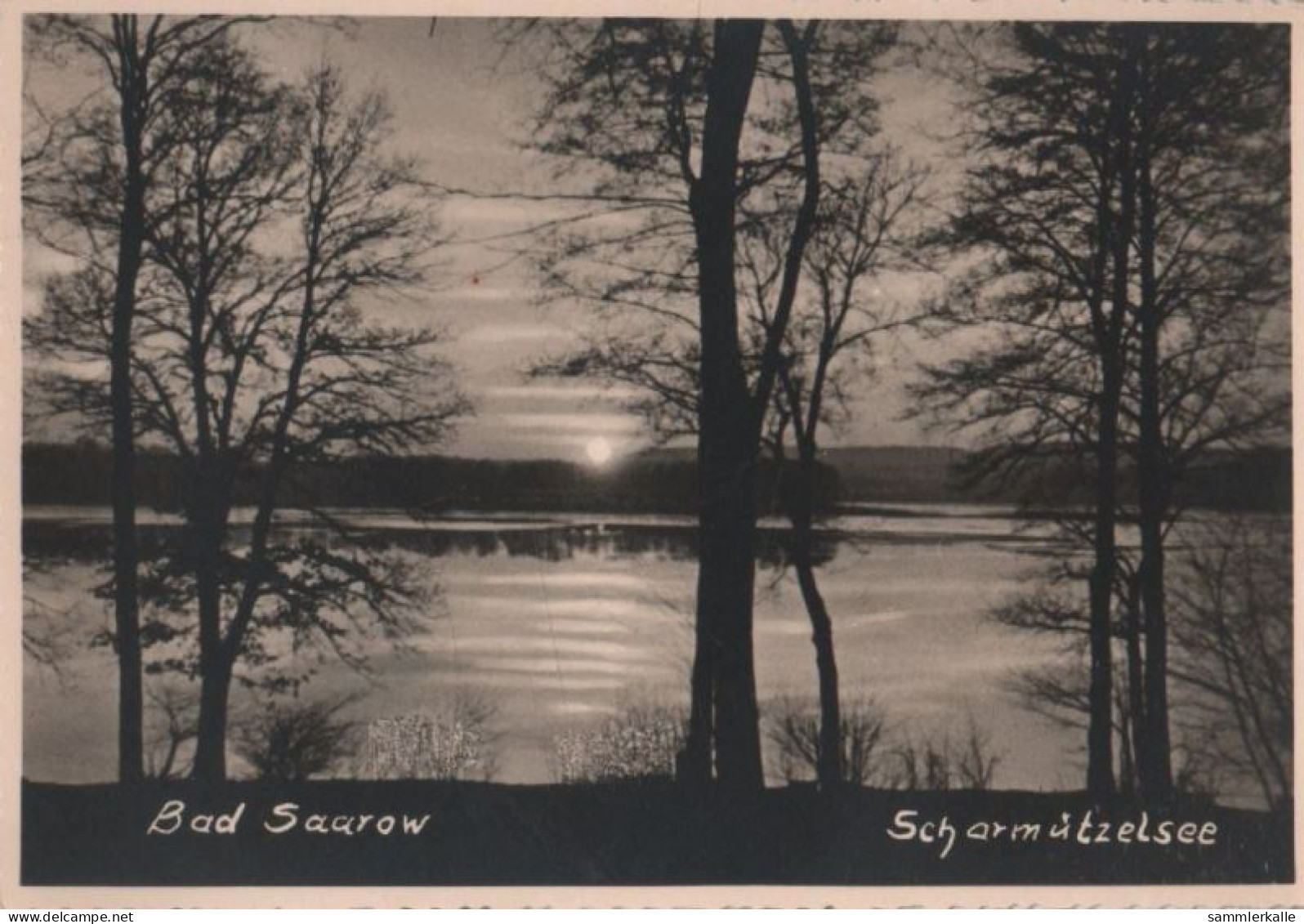 79617 - Bad Saarow - [FOTO KEINE AK] Scharmützelsee - Ca. 1955 - Bad Saarow